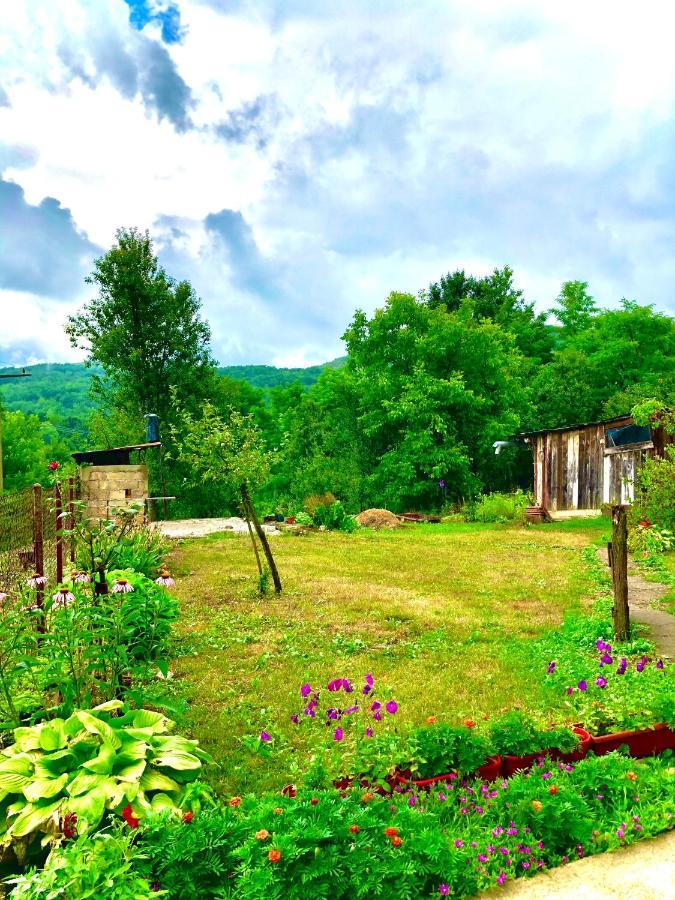 Guesthouse D&D Licko Petrovo Selo Exterior foto