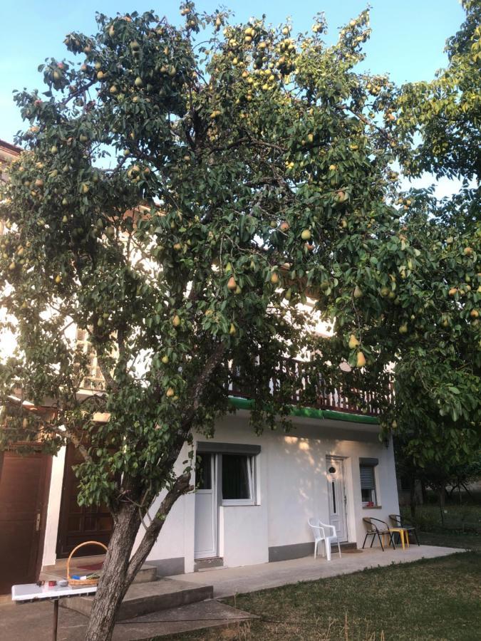 Guesthouse D&D Licko Petrovo Selo Exterior foto